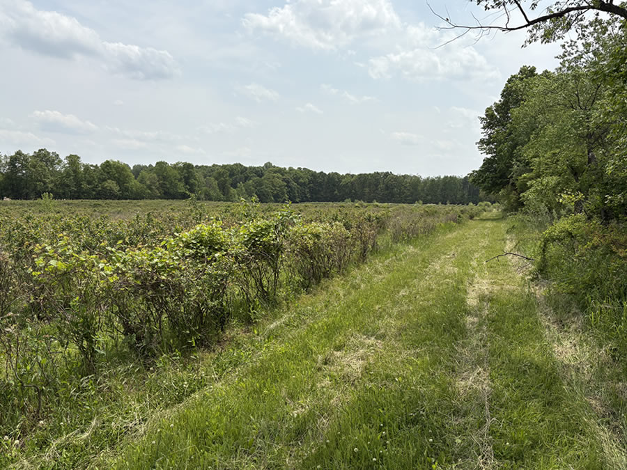 Berrien County