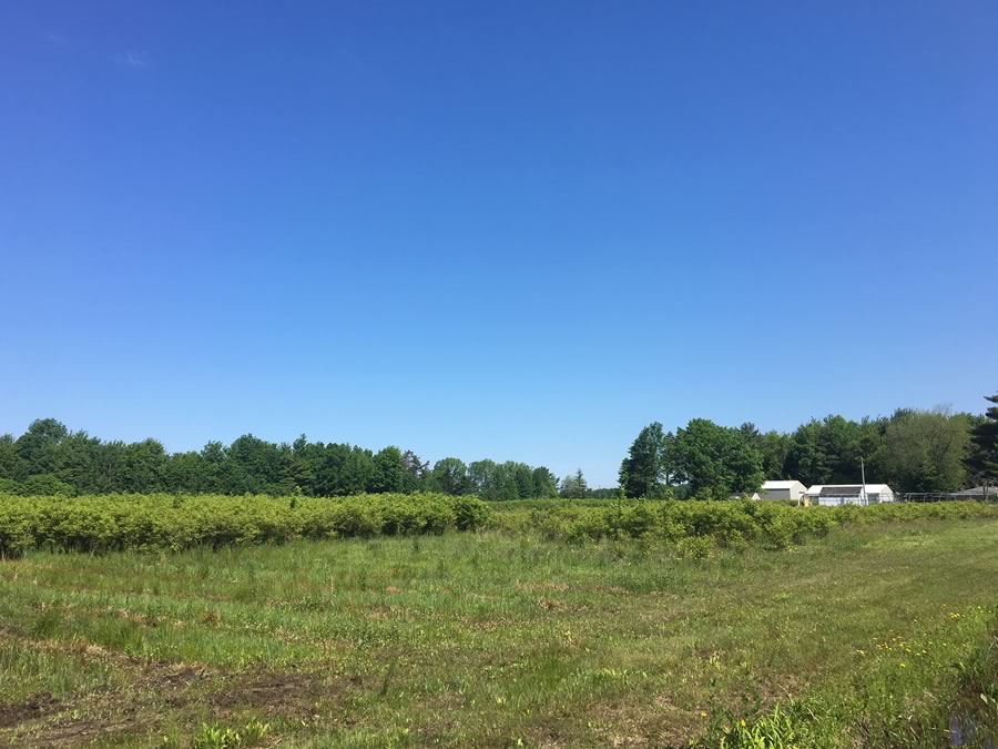 homes for sale in van buren county mi