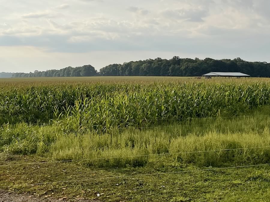 Property for Sale Shelby Township, Oceana County, Michigan