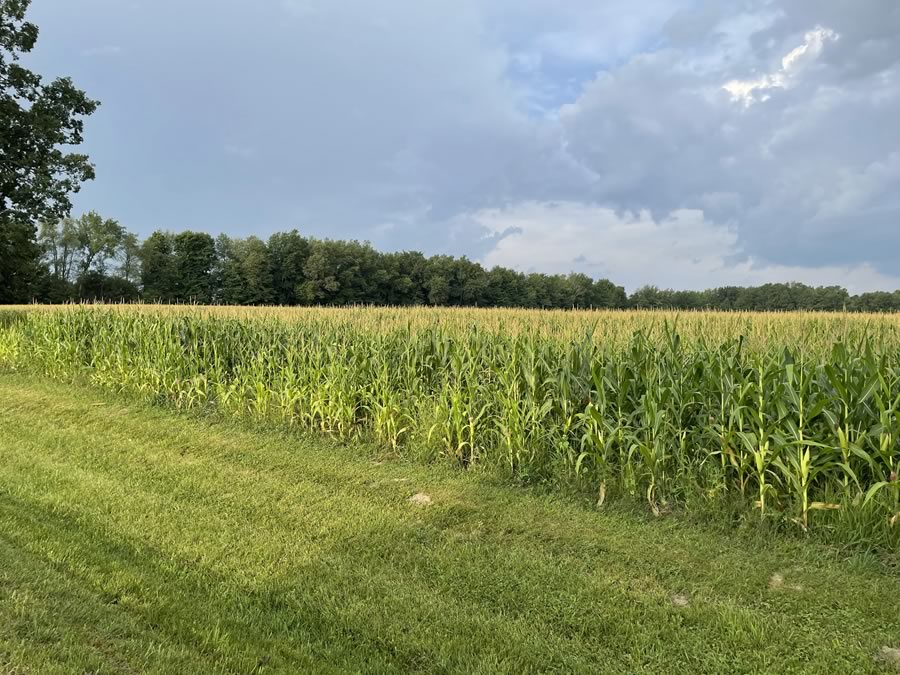 Property for Sale Shelby Township, Oceana County, Michigan